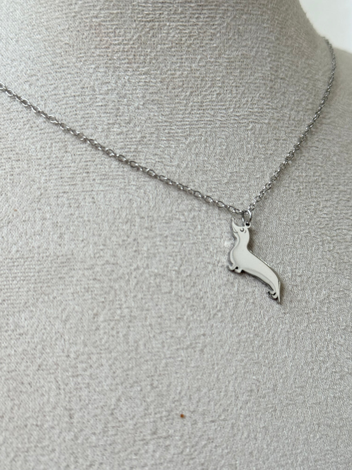 Cadena teckel plata - AC