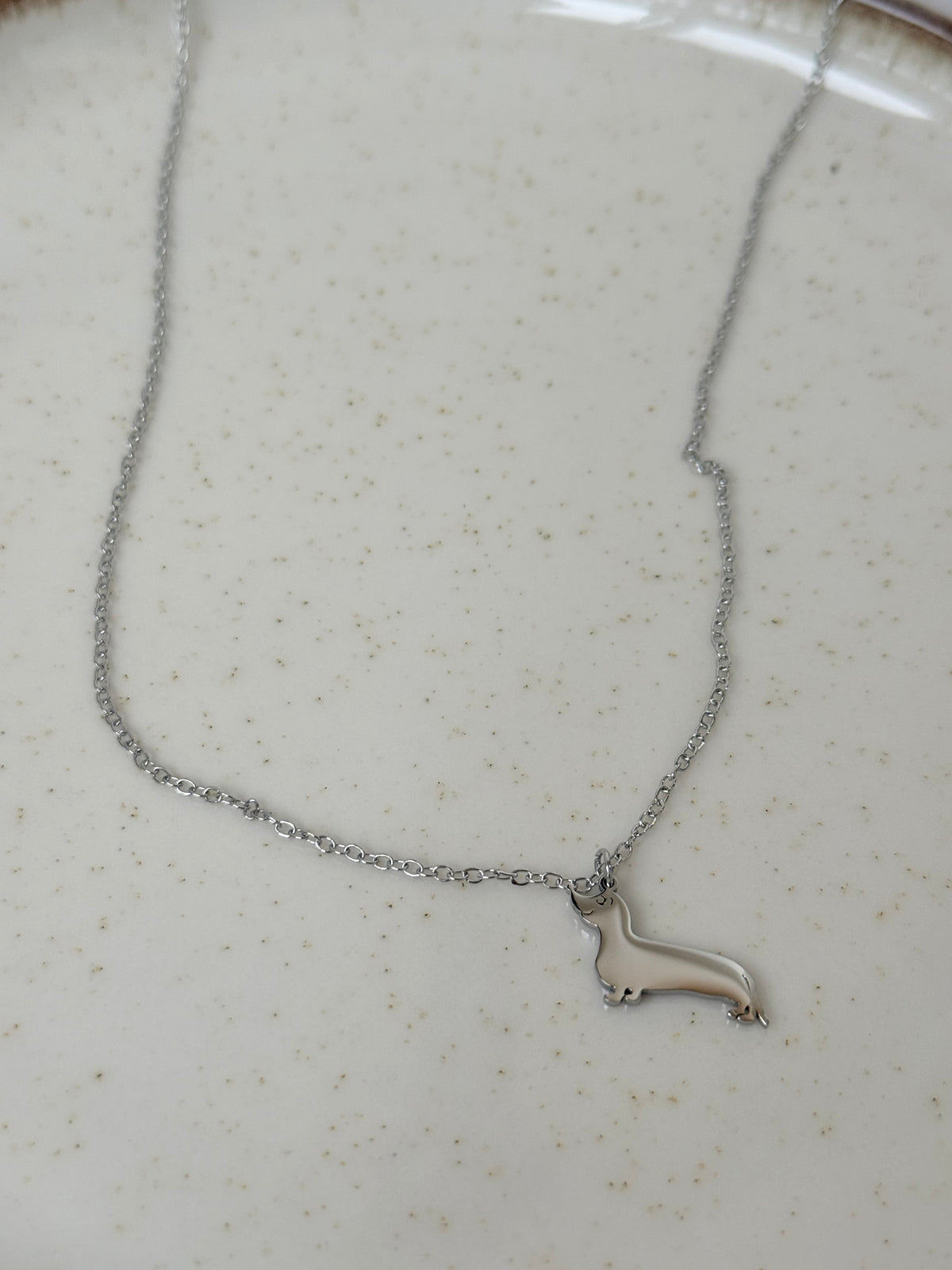 Cadena teckel plata - AC