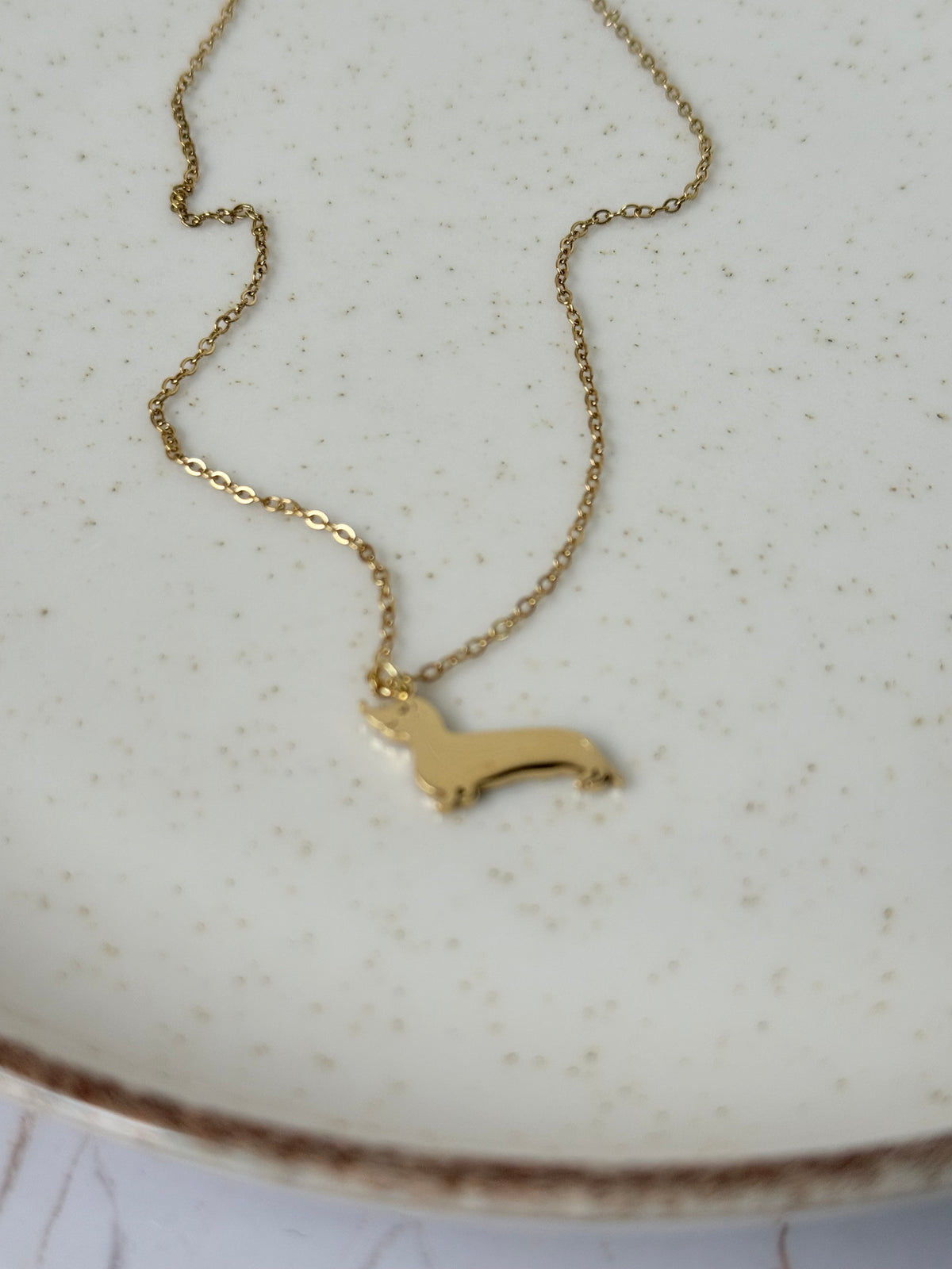 Cadena teckel oro - AC