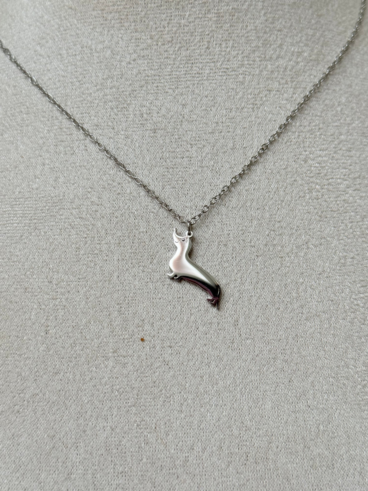 Cadena teckel plata - AC