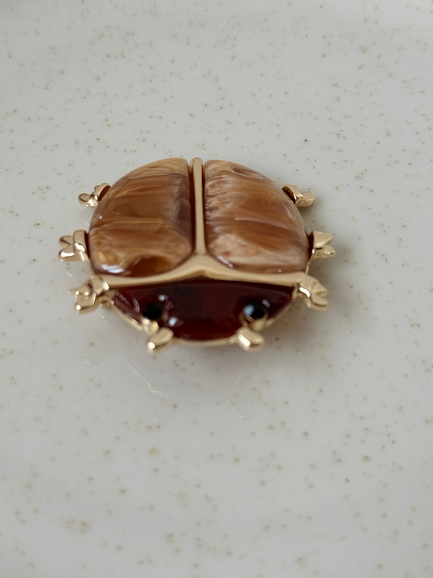 Broche escarabajo camel