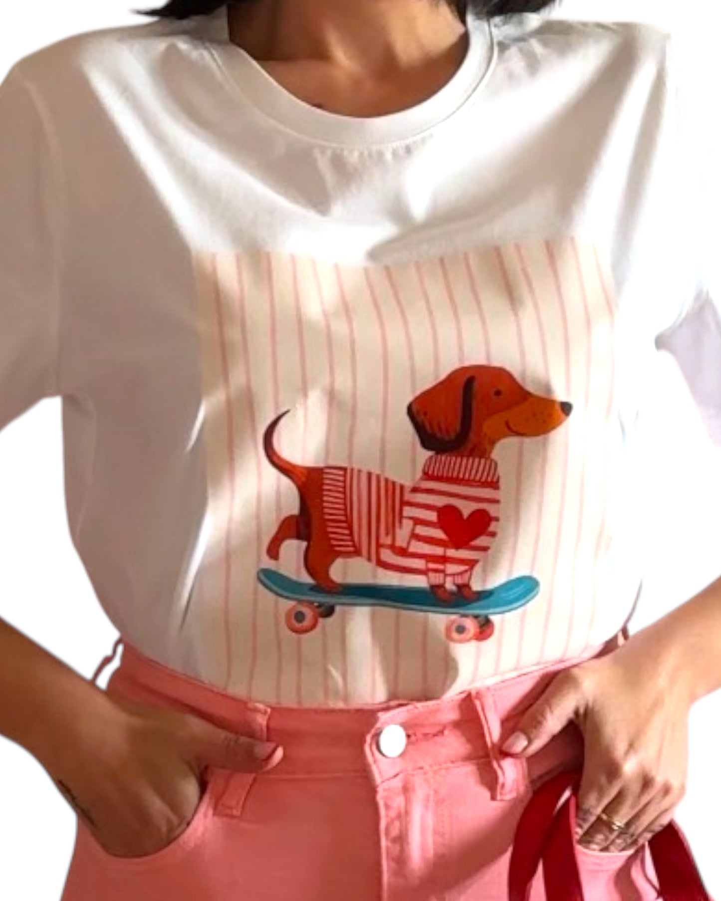 Camiseta rayas dog patinete - AC